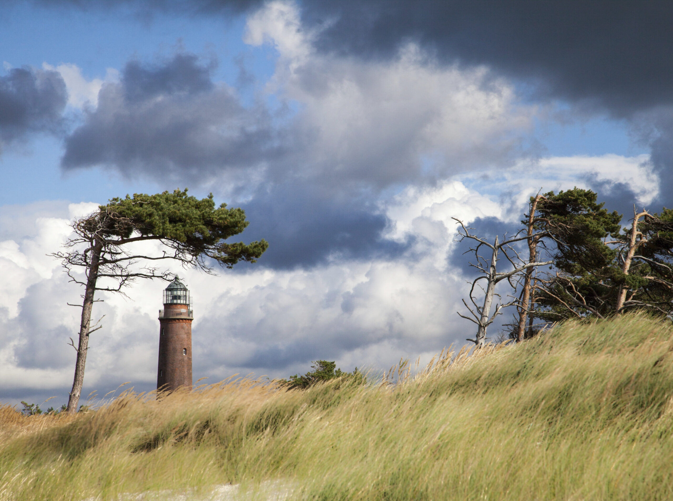 Ferienhaus mit Wellness Zingst – Radweg auf der Halbinsel